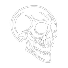 Outline Skull Illustration