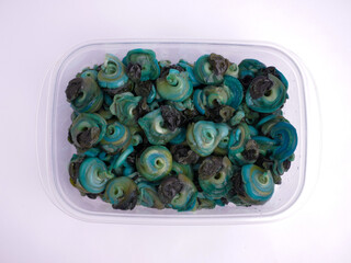 Cleaned green sea snails in a plastic container, ready to be cooked. Food, ingredient, delicious,...