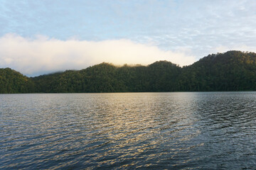 lake in the forest