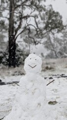Happy Snowman in Winter Forest During Snowfall