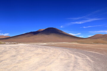 Laguna Honda, salt lake in the altiplano of Bolivia