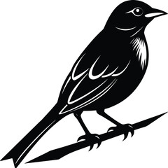Minimal Bird Silhouette Vector – Single Color Bird on Branch Illustration