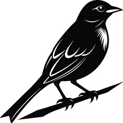 Obraz premium Minimal Bird Silhouette Vector – Single Color Bird on Branch Illustration