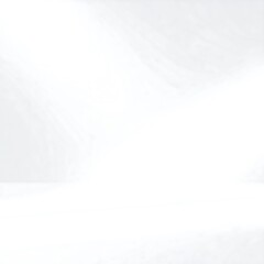 Blank white studio backdrop