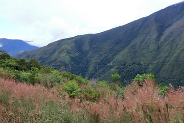 view to the legendary Death road in the Yungas Mountains in Bolivia near La Paz