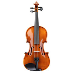 Fototapeta premium Classic Violin with Rich Brown Finish on white background