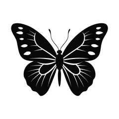 butterfly, butterfly-wing, butterfly-shape, butterfly-outline, butterfly-shadow,
