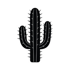 cactus, silhouette, desert, plant, succulent, thorn, green, dry, arid, drought
