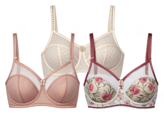 women-s-bras on a isolated transparent background