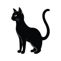 cat, stretching, feline, pet, animal, domestic, lazy, relaxed, stretch, paws, claws