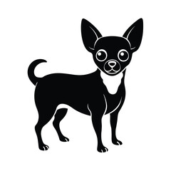 chihuahua, chihuahua dog, chihuahua silhouette, chihuahua pet, chihuahua small dog