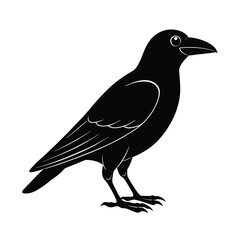 Obraz premium crow silhouette, black bird icon, flying crow figure, perched crow outline, spooky bird shape,