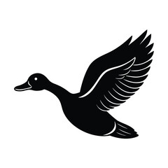 duck, flying, bird, wings, waterfowl, migration, flight, feather, nature, wild, aquatic,