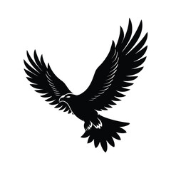 eagle, bird, wings, raptor, predator, talons, beak, feather, flight, soar, sky, hunting, wild,