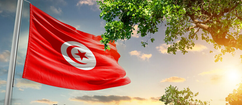 Tunisia national flag waving in the sky behind the tree. The flag blow in beautiful sunlight. Tunisia national flag for independence day.