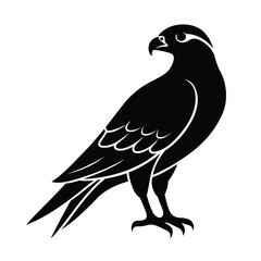 falcon, bird, silhouette, raptor, predator, wing, flight, feather, wildlife, avian, nature, hunter,