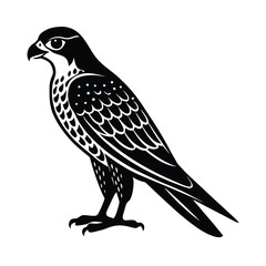 Fototapeta premium falcon, bird, raptor, predator, beak, talon, wing, flight, feather, wildlife, nature, hunter