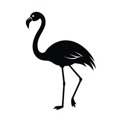 flamingo, standing, bird, tropical, exotic, wildlife, pink, nature, tall, elegant,