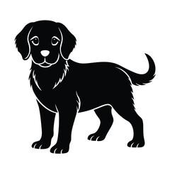 goldenretriever, puppy, dog, cute, pet, fur, friendly, animal, youngdog, loyal, fluffy,