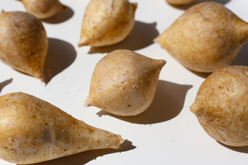 Mexican turnip or jicama or yam bean