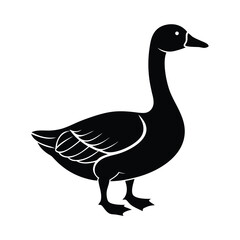 goose, standing, still, bird, upright, posture, balance, nature, wetland, whitefeather