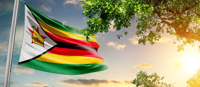 Zimbabwe national flag waving in the sky behind the tree. The flag blow in beautiful sunlight. Zimbabwe national flag for independence day.