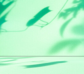 Green background light shadow leaves abstract nature on blur wall cement podium loft product,...