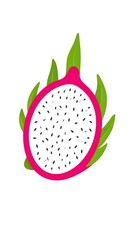 Dragon fruit slice illustration (1)
