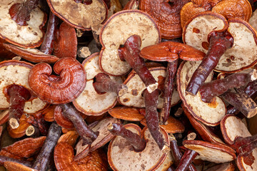 close up of dried mushrooms