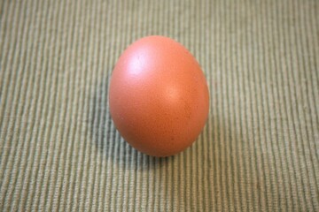 One brown chicken egg placed on green textile fabric, shown in a close-up with room for text. Natural, minimal style.