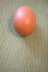 One brown chicken egg placed on green textile fabric, shown in a close-up with room for text. Natural, minimal style.