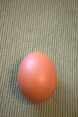 One brown chicken egg placed on green textile fabric, shown in a close-up with room for text. Natural, minimal style.