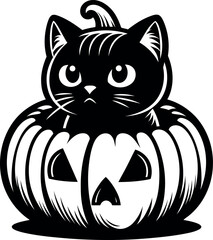 Black Cat in a Halloween Pumpkin