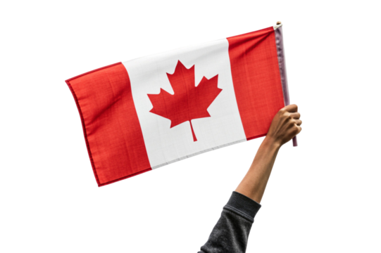 Hand holding canadian flag waving in the wind isolated on transparent background
