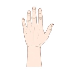 Hand illustration (2)