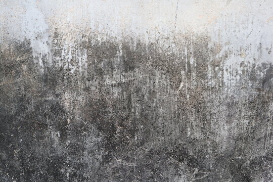 close-up view of an old, weathered concrete wall. 