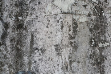 close-up view of an old, weathered concrete wall. 
