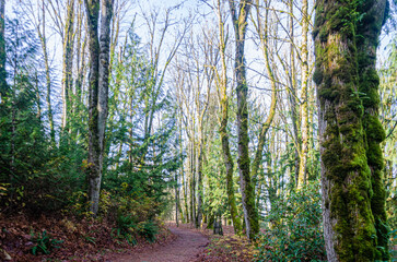 Obraz premium Countryside view of Mission, BC, Canada in the Autumn