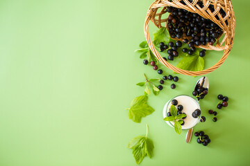 Homemade yogurt with blackcurrant berries, isolated on green background