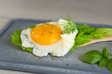 Homemade breakfast with fried egg and fresh lettuce leaves