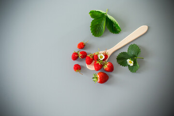 Juicy strawberries close-up on a gray background