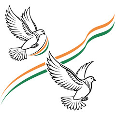 Two doves flying with indian flag tricolor ribbon isolated on white background