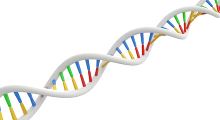 DNA Double Helix: 3D Genetic Structure on a Clean Background