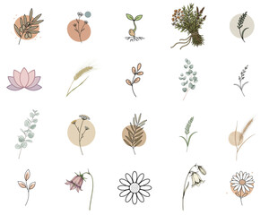Hand-drawn botanical icons in soft pastel colors