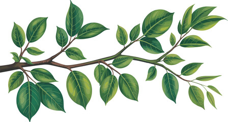 Botanical illustration of green leafy branch, nature vector art, eco-friendly design, plant stem drawing, foliage detail, high-resolution image