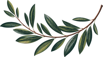 Collection of green bushes, various shrubs vector, landscaping foliage design, gardening elements, nature plants, outdoor greenery, botanical illustration, eco ar