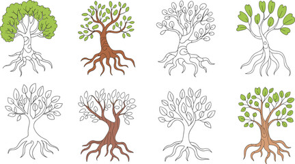 Hand drawn tree illustrations with roots, leaves and branches, black and color versions, natural growth concept, vector line art design