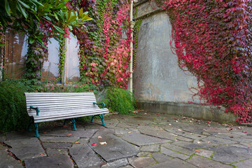 Westerners tend to grow vines on the walls of buildings, which help reduce heat and provide...