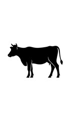 Fototapeta premium Silhouette of a cow (3)