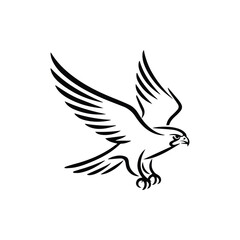 Obraz premium Black hawk in flight with spread wings and talons falcon bird